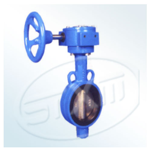 Cast iron wafer butterfly valve