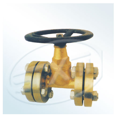 Straight-through globe valve