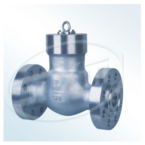 Pressure Sealing Check Valve