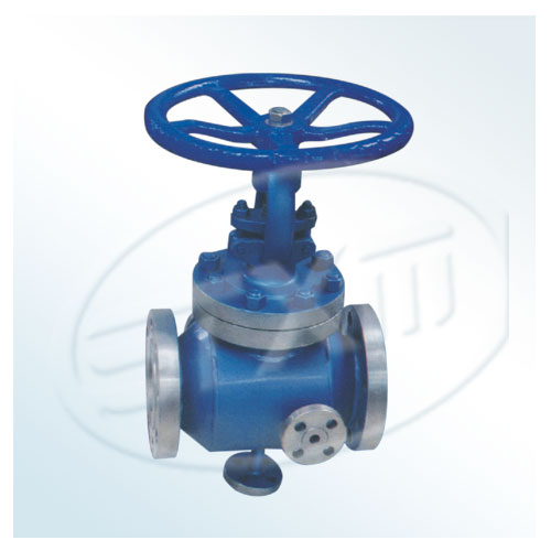 Jacket Globe Valve